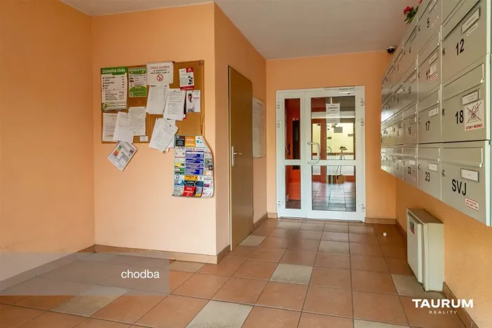 Prodej bytu 1+kk, Plzeň - Doudlevce, Luďka Pika, 20 m2