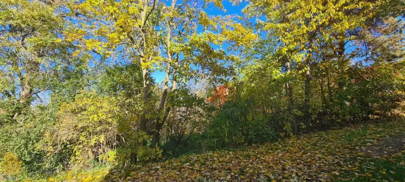 Prodej pozemku pro bydlení, Pětikozly, 453 m2