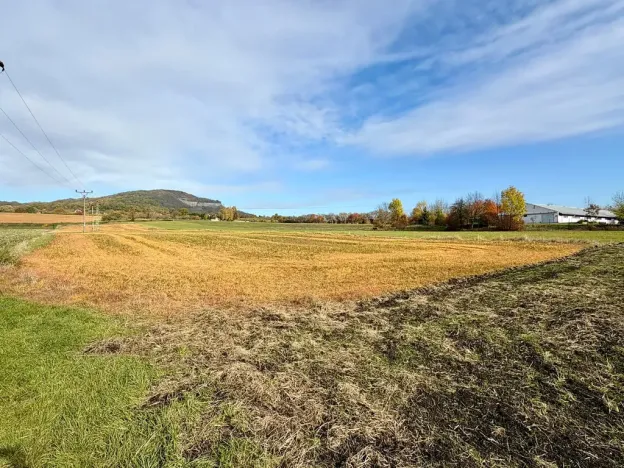 Prodej pozemku pro bydlení, Chotiměř, 9663 m2