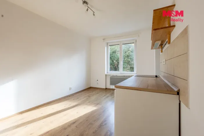 Prodej bytu 1+kk, Kamenický Šenov, Trtíkova, 25 m2