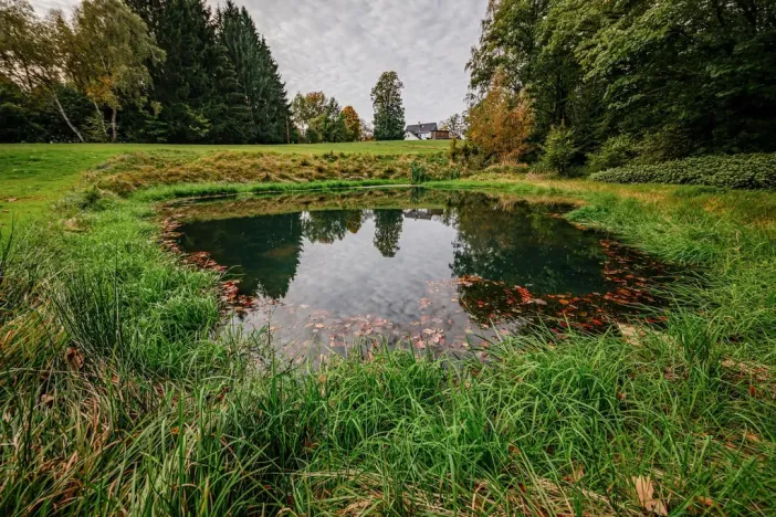 Prodej ubytování, Krásná Lípa - Zahrady, 551 m2