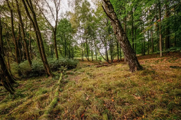 Prodej ubytování, Krásná Lípa - Zahrady, 551 m2