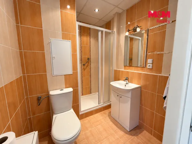 Pronájem bytu 1+1, Chomutov, Hornická, 35 m2