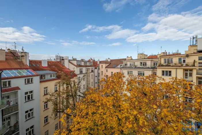 Pronájem bytu 5+kk, Praha - Vinohrady, U Havlíčkových sadů, 295 m2