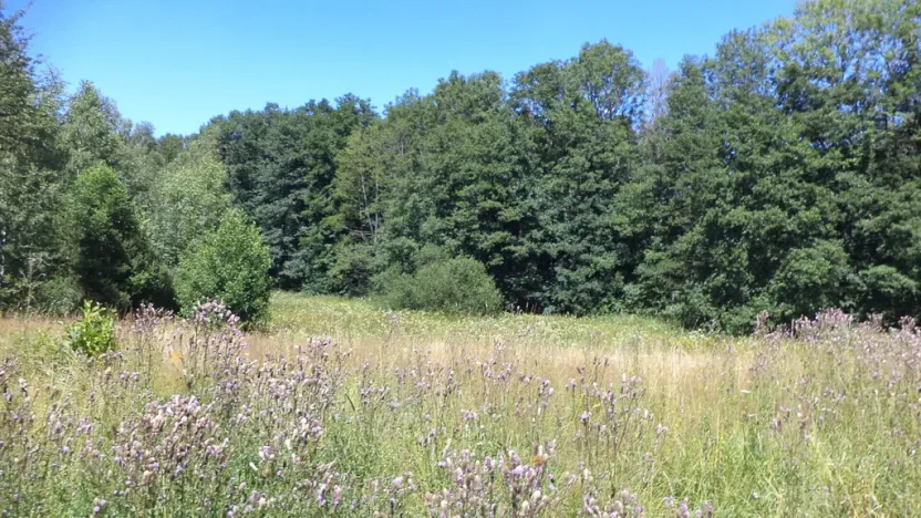 Prodej pole, Mařenice, 19744 m2