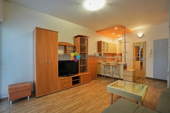 Pronájem bytu 1+kk, Brno, Zlínská, 30 m2