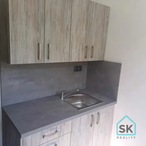 Pronájem bytu 1+1, Holčovice, 42 m2