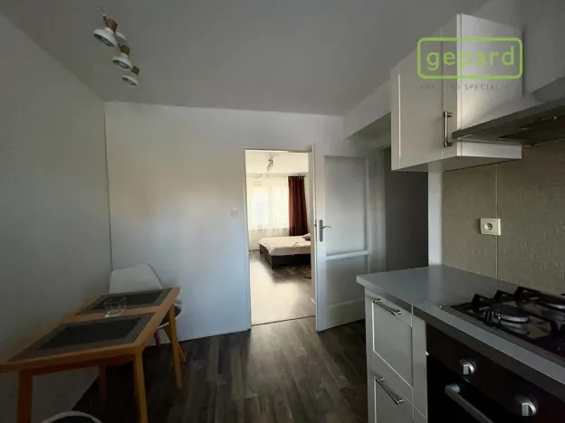 Pronájem bytu 1+1, Brandýs nad Labem-Stará Boleslav - Brandýs nad Labem, Královická, 42 m2
