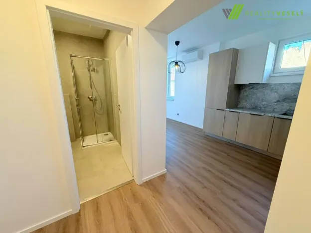 Pronájem bytu 3+kk, Hodonín, Brandlova, 59 m2