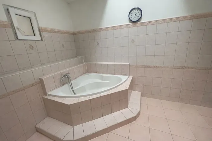 Pronájem rodinného domu, Cheb, Evropská, 450 m2