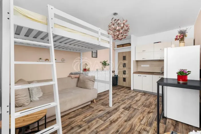Pronájem bytu 1+kk, Zlín, Ševcovská, 34 m2