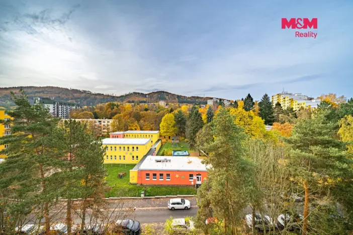 Prodej bytu 2+1, Karlovy Vary - Drahovice, Východní, 60 m2