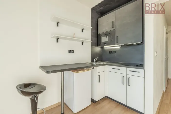 Pronájem bytu 1+kk, Praha, Peroutkova, 25 m2