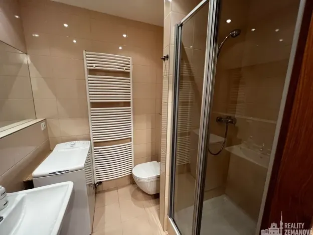 Pronájem bytu 1+kk, Dolní Břežany, Náměstí Na Sádkách, 40 m2