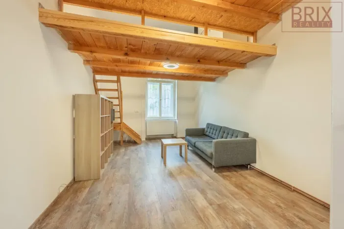 Pronájem bytu 2+1, Praha, Štefánikova, 61 m2