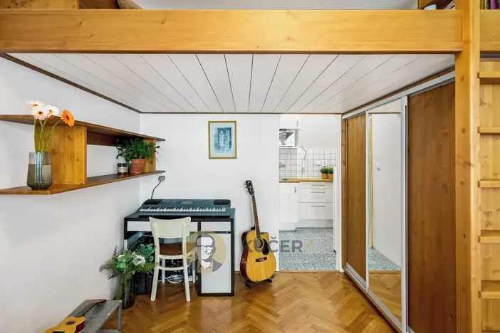 Pronájem bytu 1+kk, Praha - Vinohrady, V Horní Stromce, 22 m2