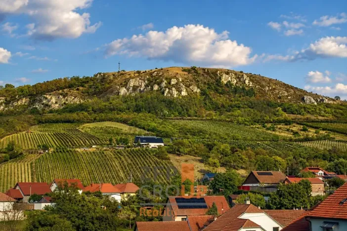 Prodej ubytování, Bavory, 289 m2