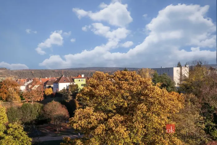 Prodej bytu 1+kk, Plzeň - Východní Předměstí, náměstí Generála Píky, 21 m2