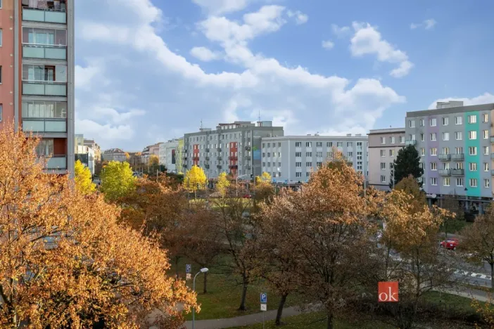 Prodej bytu 1+kk, Plzeň - Východní Předměstí, náměstí Generála Píky, 21 m2