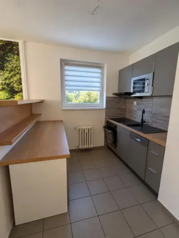 Pronájem bytu 2+1, Dolní Poustevna, Vilémovská, 59 m2