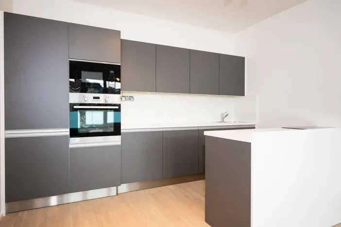 Pronájem bytu 3+kk, Praha - Nusle, V Horkách, 82 m2