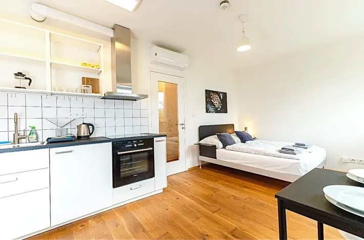 Pronájem bytu 1+kk, Praha - Vinohrady, Perucká, 25 m2